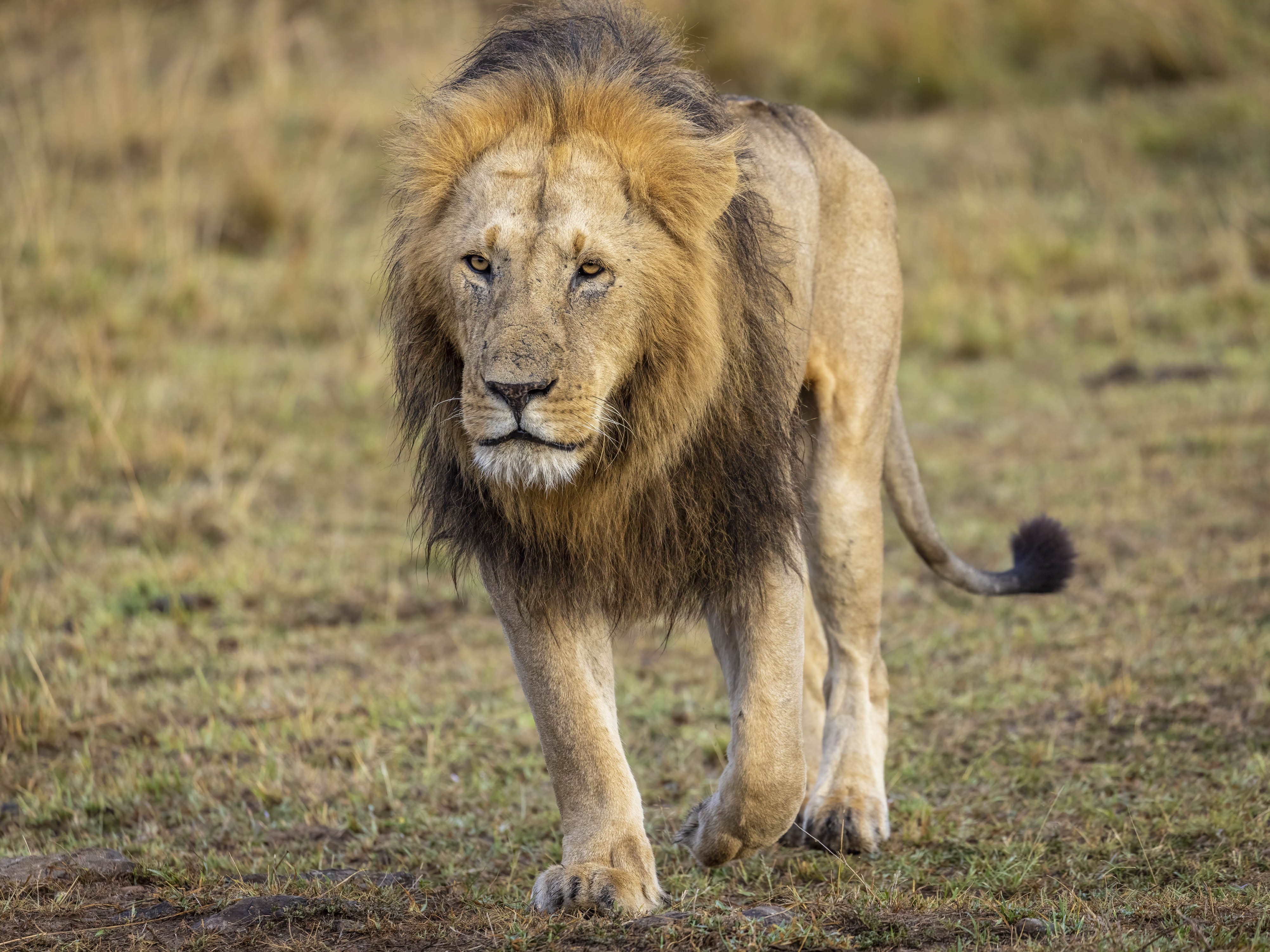 November 13, 2022-070121-8-Edit.jpg